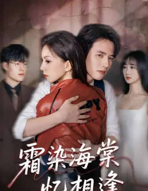 霜染海棠忆相逢（72集全）庄逸涵＆张天宇-紫橙资源网