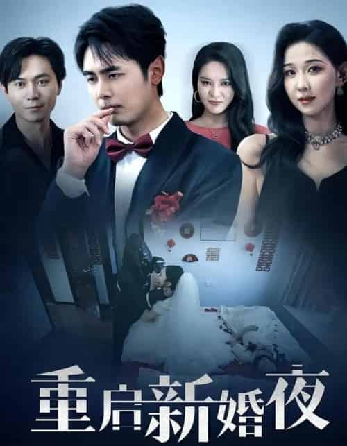 重启新婚夜（61集）-紫橙资源网