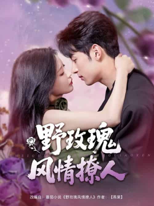 野玫瑰风情撩人（85集全）张屹杨＆陈思澈-紫橙资源网