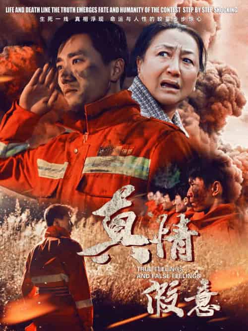 真情假意（62集）-紫橙资源网