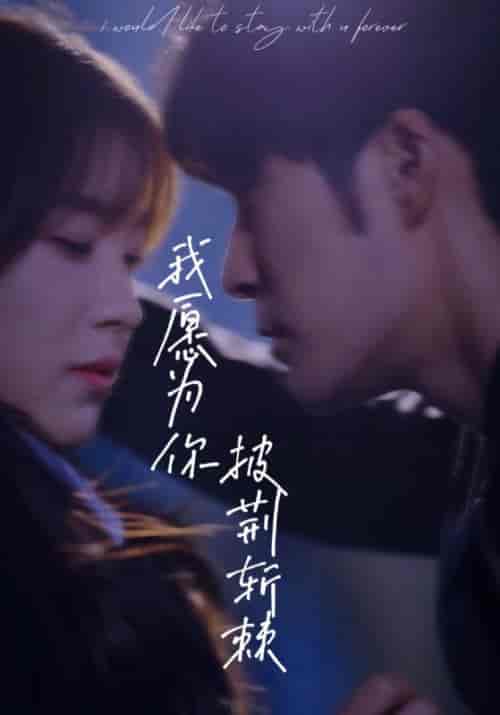 我愿为你披荆斩棘(88集)-紫橙资源网