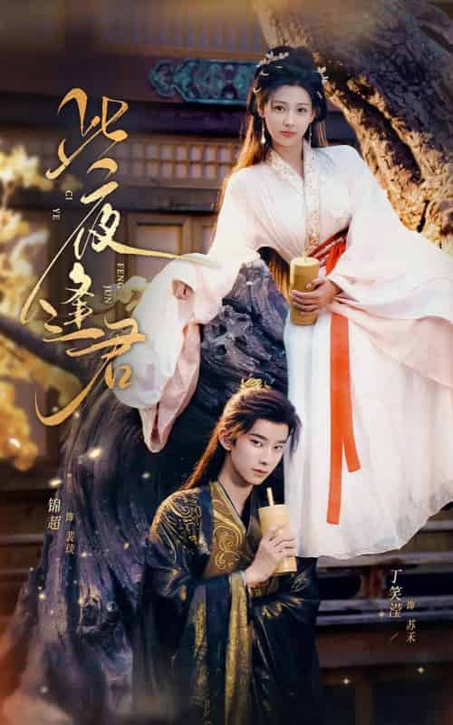 此夜逢君（76集全）锦超＆丁笑滢-紫橙资源网