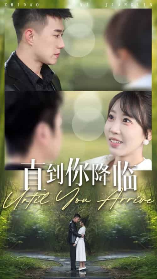 直到你降临(84集全)黄文博&彭呆呆-紫橙资源网