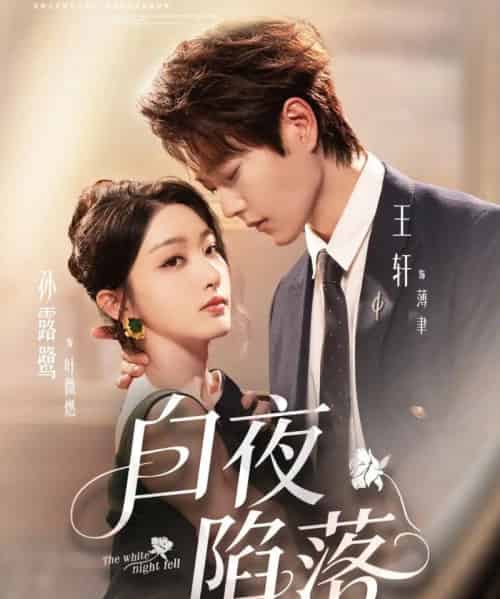 白夜陷落（81集全）王轩＆孙露鹭-紫橙资源网