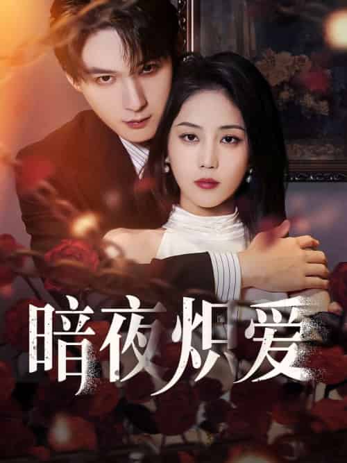 暗夜炽爱（50集）黄云云＆常喆宽-紫橙资源网