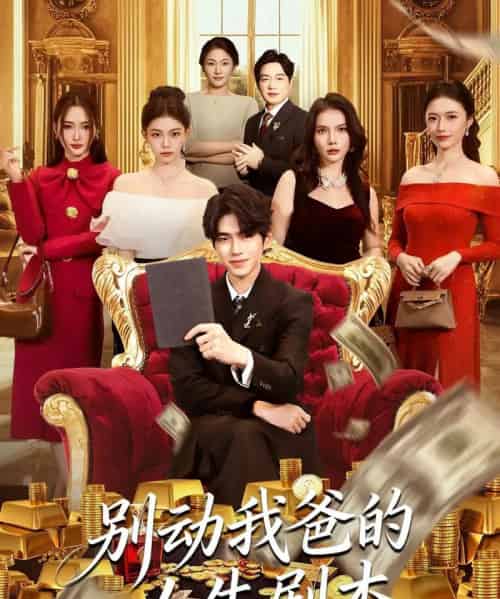 别动我爸的人生剧本(85集全)柯博伦&管素儿-紫橙资源网