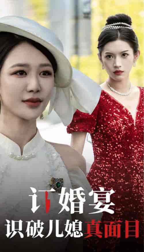 订婚宴识破儿媳真面目（30集全）柳甯 钟莹玲-紫橙资源网