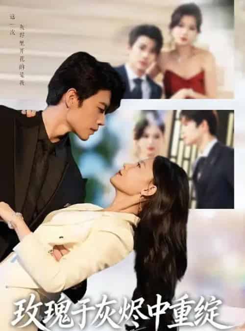 玫瑰于灰烬中重绽 （65集全） 刘宸羽＆毕雪-紫橙资源网