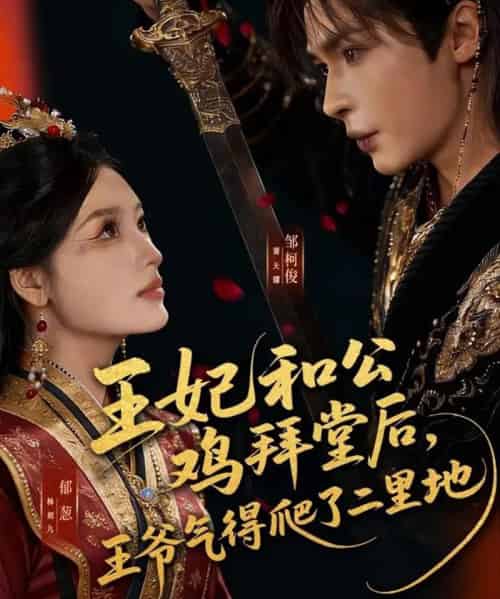 王妃和公鸡拜堂后，王爷气得爬了二里地（73集全）邹柯俊＆郁葱-紫橙资源网