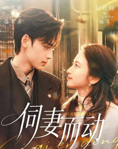 伺妻而动（90集全）刘笑驰＆付妤舒 - 紫橙短剧