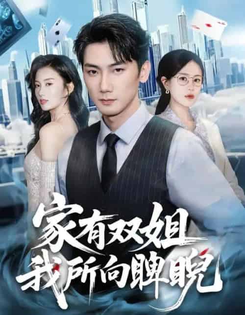 家有双姐，我所向睥睨（60集全）暖小新＆孙琳-紫橙资源网