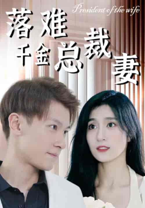 落难千金总裁妻（94集全）霍千山＆南暮雪-紫橙资源网