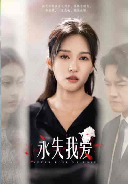 永失我爱（45集全）林正宇＆杨慧慧-紫橙资源网