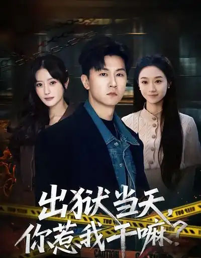 出狱当天，你惹我干嘛？（62集全）王鹏＆郑皓月-紫橙资源网