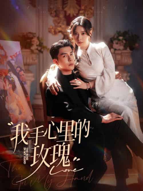 我手心里的玫瑰(91集全)李佳琛&韩琪-紫橙资源网