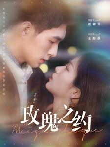 玫瑰之约（95集）邹盛文＆田苗苗-紫橙资源网