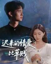 迟来的情爱比草贱（46集） - 紫橙短剧