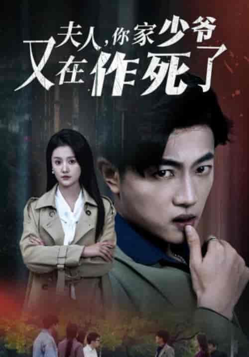 夫人,你家少爷又在作死了(30集全)苏平安&柳芊芊-紫橙资源网