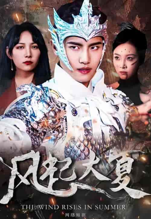 风起大夏（80集）-紫橙资源网