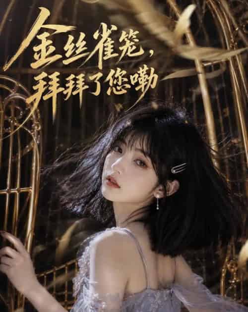 金丝雀笼,拜拜了您嘞(40集全)AI-紫橙资源网