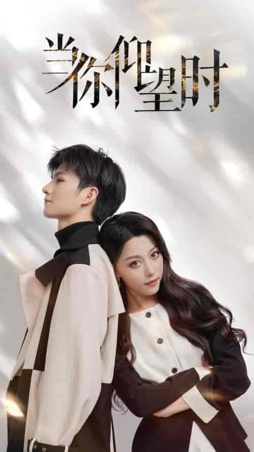 当你仰望时（25集全）刘子豪＆李金金-紫橙资源网