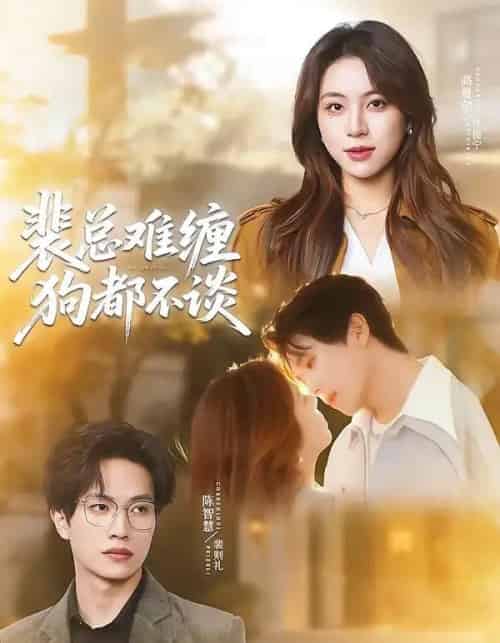 裴总难缠狗都不谈（65集全）陈智慧＆高曼尔-紫橙资源网