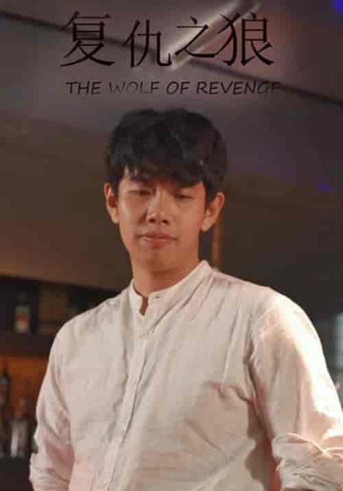 复仇之狼（100集全）王珂＆小鱼-紫橙资源网