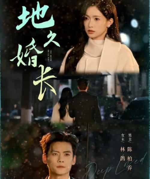 地久婚长（69集全）陈柏乔＆林鸽-紫橙资源网