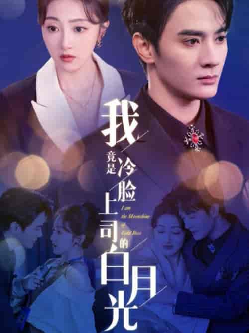 我竟是冷脸上司的白月光（80集全）陈冠峄＆海依凡 - 紫橙短剧