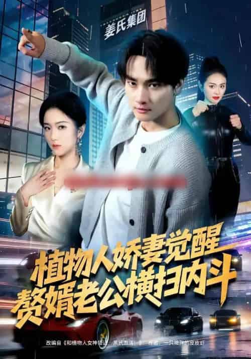 植物人娇妻觉醒，赘婿老公横扫内斗（80集全）刘国文＆薄艾莹-紫橙资源网