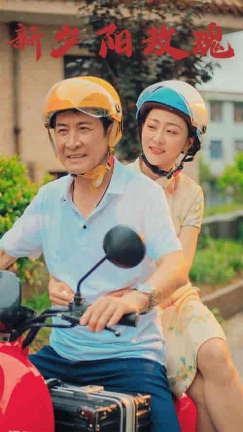 新夕阳玫瑰（62集）-紫橙资源网