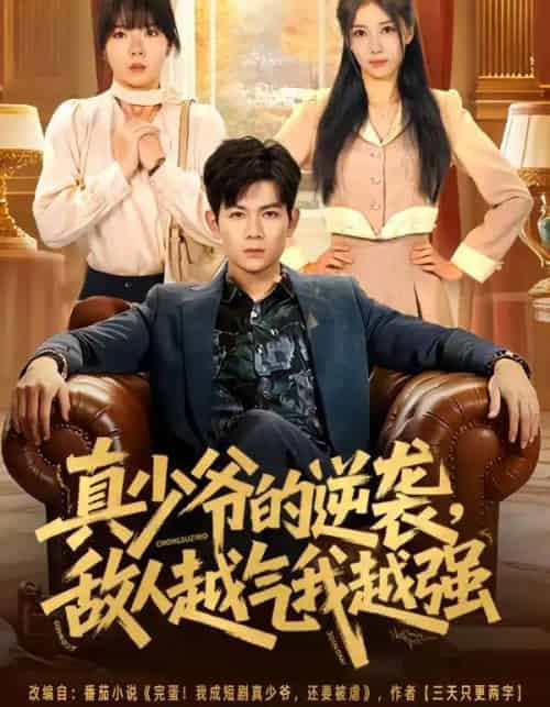 真少爷的逆袭,敌人越气我越强(78集全)孙羽中&韩思懿-紫橙资源网