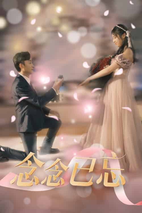 念念已忘（30集全）-紫橙资源网