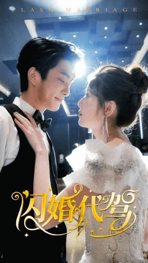 闪婚代驾(81集)-紫橙资源网