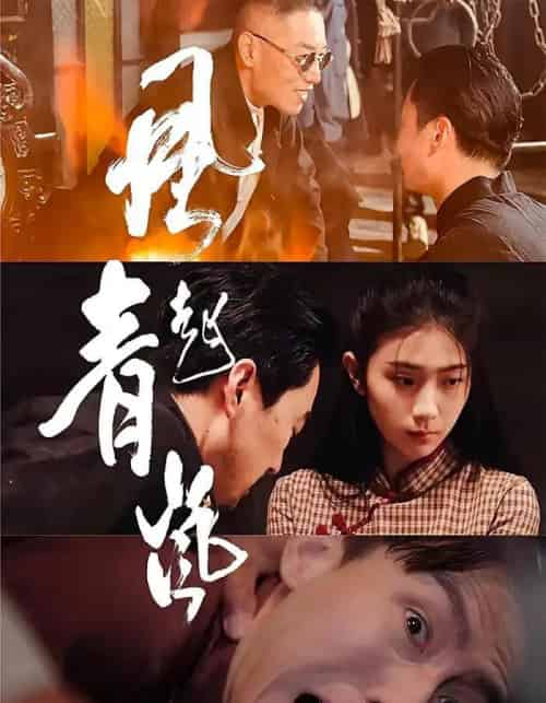 风起青岚（96集）-紫橙资源网