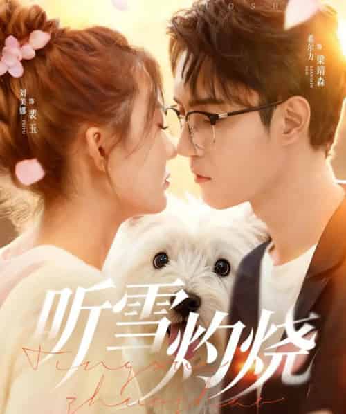 听雪灼烧（68集全）希尔力＆刘美娜-紫橙资源网