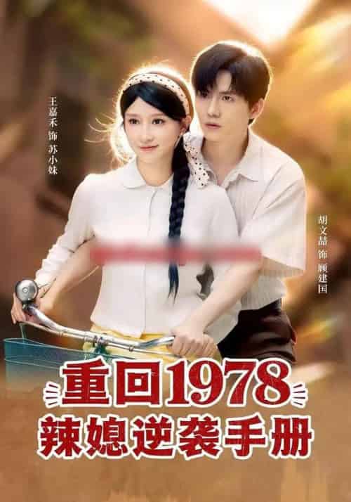 重回1978辣媳逆袭手册（62集全）胡文喆＆王嘉禾-紫橙资源网