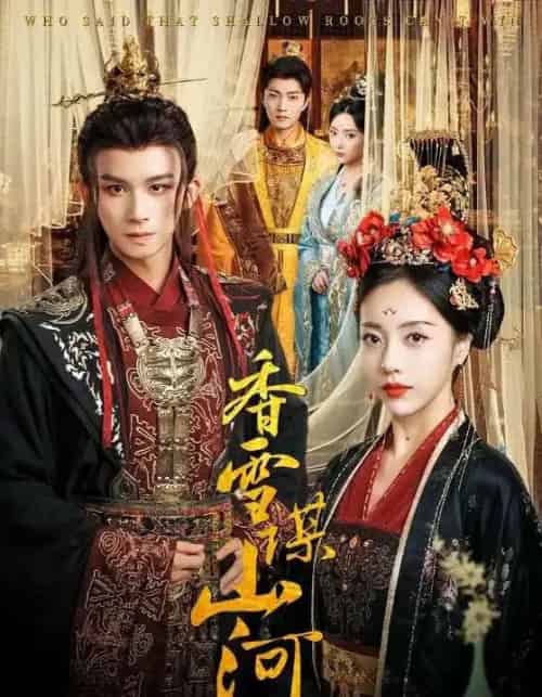 香雪谋山河（71集） - 紫橙短剧