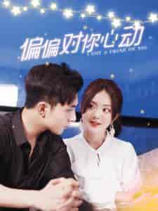 偏偏对你心动(99集)伍拾娇-紫橙资源网