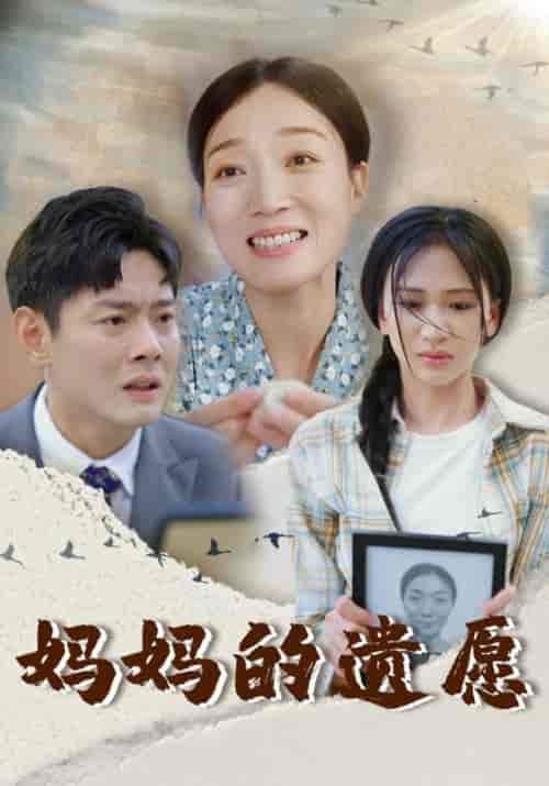 妈妈的遗愿（50集全）柯以-紫橙资源网