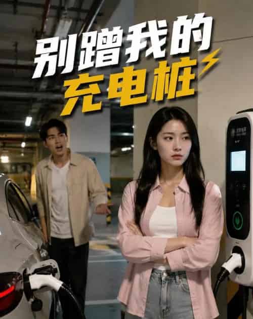 别蹭我的充电桩（35集全）-紫橙资源网