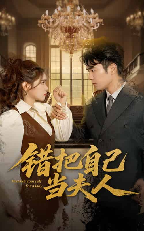 错把自己当夫人（60集全）蔡思琦＆只茂楠-紫橙资源网