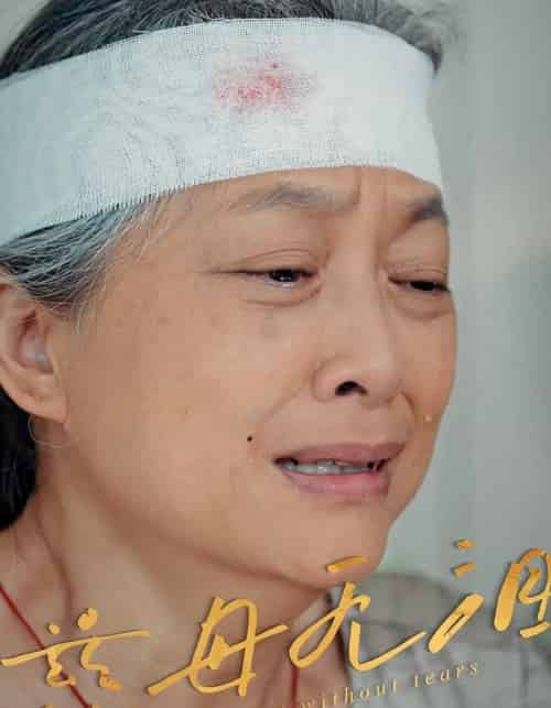 慈母无泪（30集）-紫橙资源网