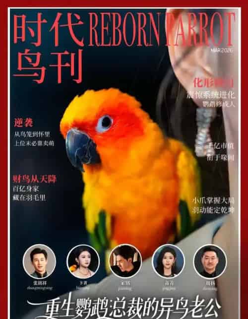 重生鹦鹉：总裁的异鸟老公（80集全）卞菁＆郭嘉铭-紫橙资源网