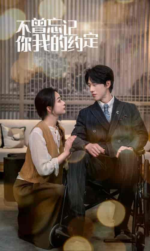 不曾忘记你我的约定（51集）-紫橙资源网