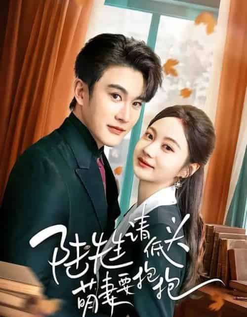 陆先生请低头萌妻要抱抱（51集全）陈天晓＆曾和惠子-紫橙资源网