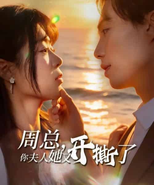 周总，你夫人她又开撕了（45集全）张航＆张梦薇 - 紫橙短剧