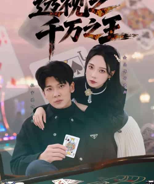 透视之千万之王（73集全）杜宇琪＆金晶-紫橙资源网