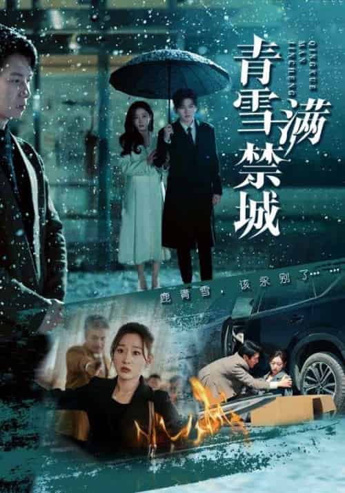 青雪满禁城（51集全）陈聿修＆刘亚倩-紫橙资源网