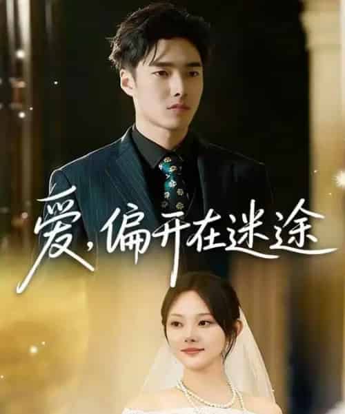 爱,偏开在迷途(63集全)林非梵&张啸昂-紫橙资源网